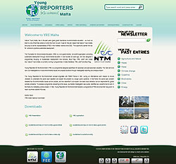 wordpress developer